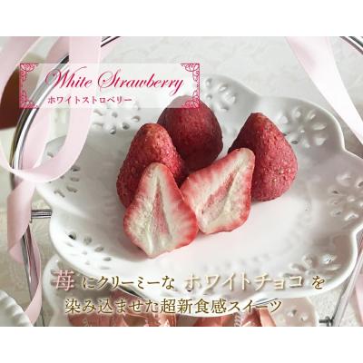 Qua濃縮乾燥草莓白巧克力(VIP下標限定請勿自行下單)