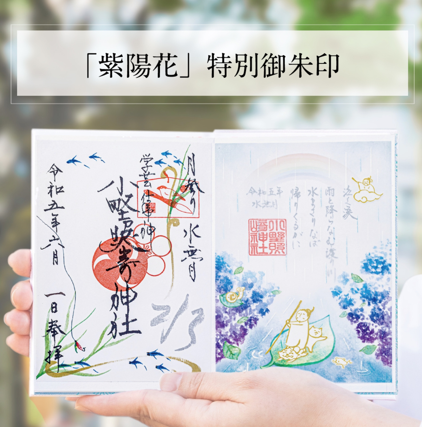 小野照崎神社六月限定「紫陽花」御朱印(vip下單區請勿自行下單)_VIP