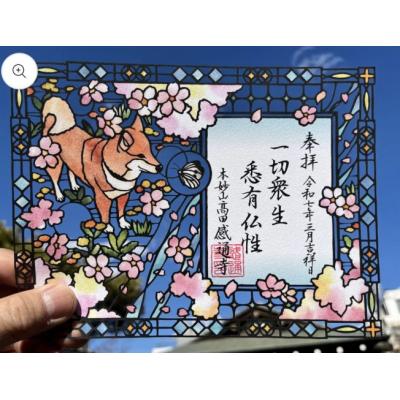 感通寺柴犬櫻花春訪御朱印(VIP下標限定請勿自行下單)