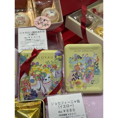 DALLOYAU約瑟菲娜白貓復活節限定2入蛋糕鐵盒(VIP下標限定請勿自行下單)