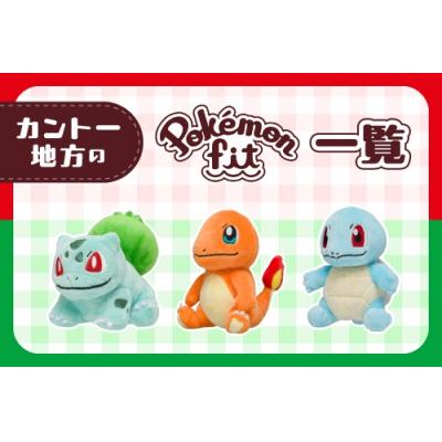 Pokemon fit掌上絨毛娃娃(VIP下標限定請勿自行下單)