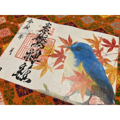 素鵞神社秋季限定琉璃鶲御朱印(VIP下標限定請勿自行下單)