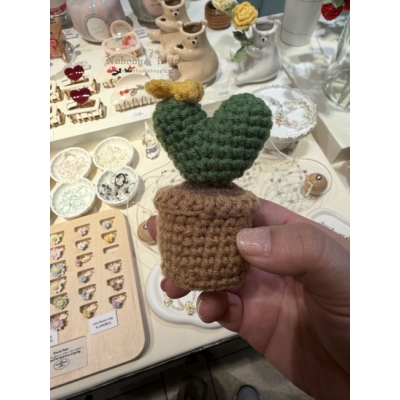 Somsatang韓国雑貨店毛線編織多肉植物(VIP下標限定請勿自行下單)