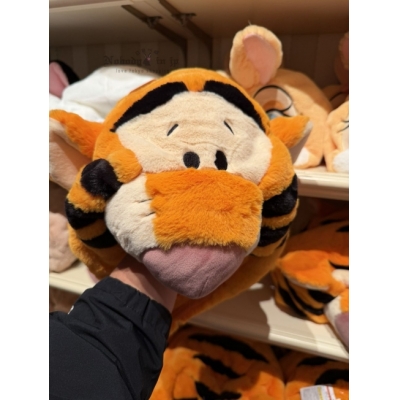 迪士尼樂園人物大頭絨毛造型帽(VIP下標限定請勿自行下單)