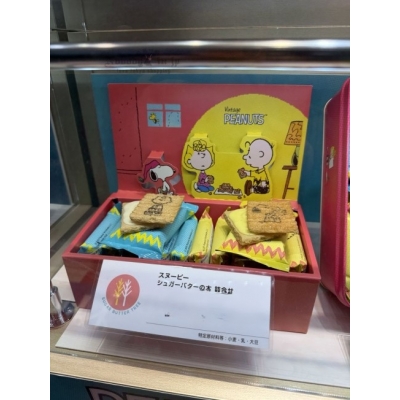 砂糖奶油樹史努比聯名綜合巧克力夾心餅乾(VIP下標限定請勿自行下單)