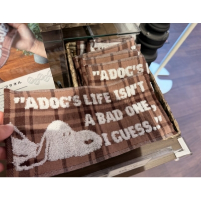 Snoopy Chocolat 史努比小毛巾 (VIP下標限定請勿自行下單)