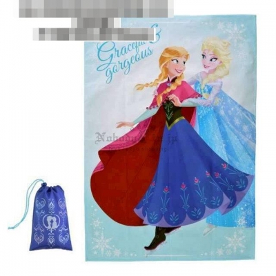 迪士尼商店附收納袋野餐墊(VIP下標限定請勿自行下單)