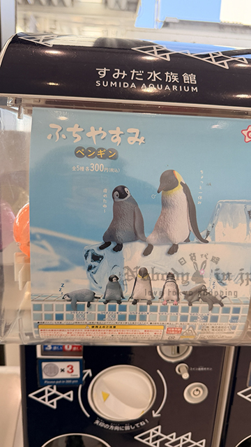 すみだ水族館坐姿企鵝扭蛋