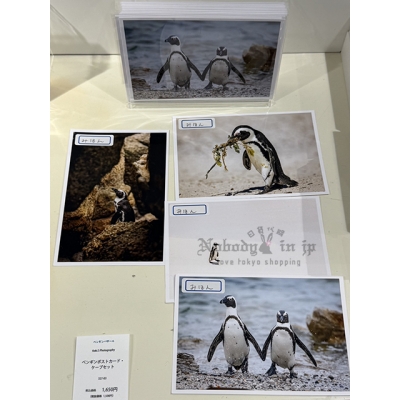 企鵝市集期間限定展4入明信片組