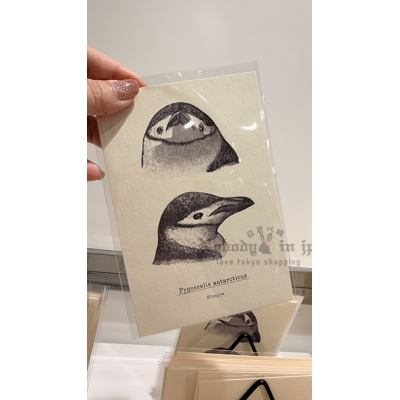 企鵝市集期間限定展單入明信片