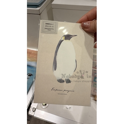 企鵝市集期間限定展單入明信片