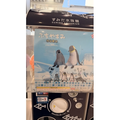 すみだ水族館坐姿企鵝扭蛋