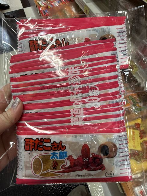 2024-12-28_18-22-34_IMG_9040_結果.jpg