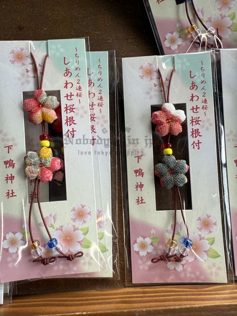 2025-03-12_11-28-06_IMG_2777_結果.jpg