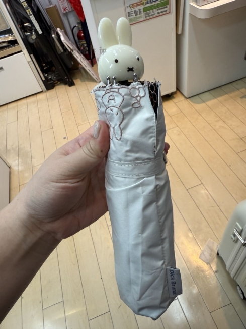 2025-06-05_17-49-23_IMG_7459_結果.jpg