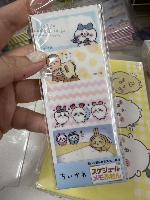 2025-06-07_11-16-31_IMG_9552_結果.jpg