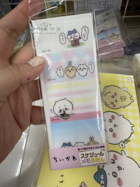 2025-06-07_11-16-22_IMG_9550_結果.jpg