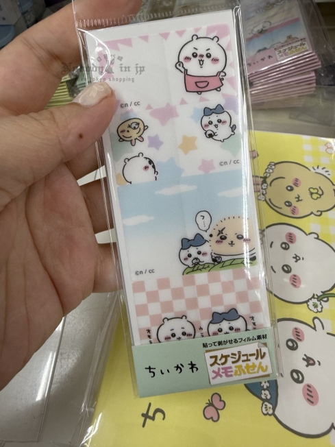 2025-06-07_11-16-26_IMG_9551_結果.jpg