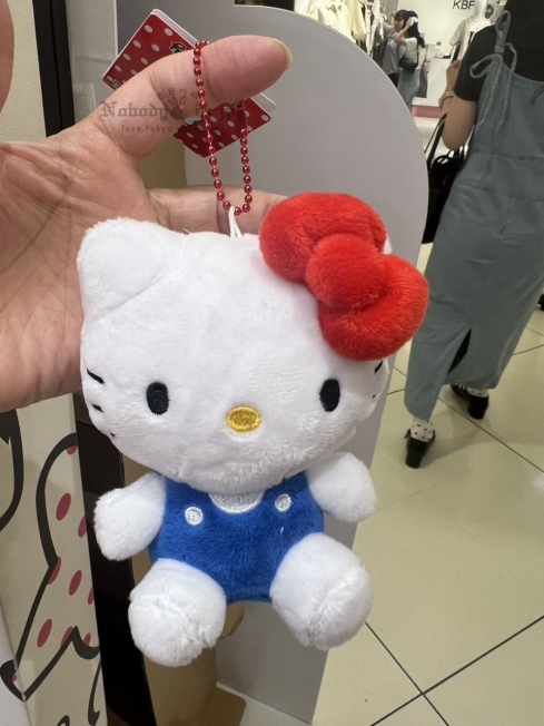 2025-06-08_14-20-54_IMG_1382_結果.jpg