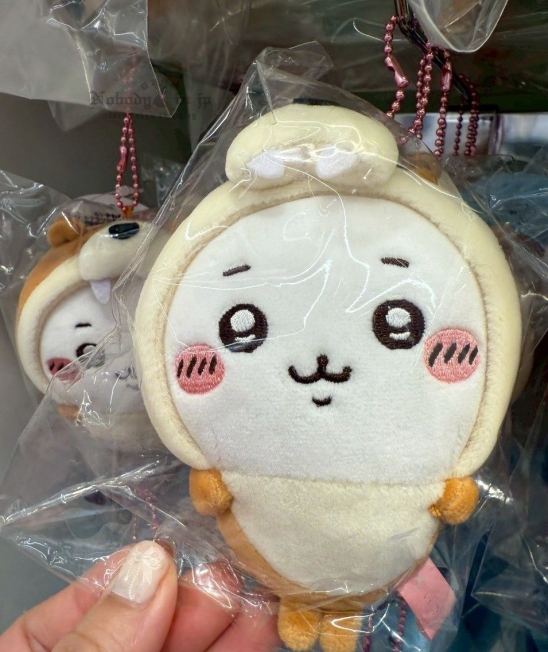 LINE_ALBUM_0615收單7月中出貨（吉伊卡哇專區）_250611_8_結果.jpg
