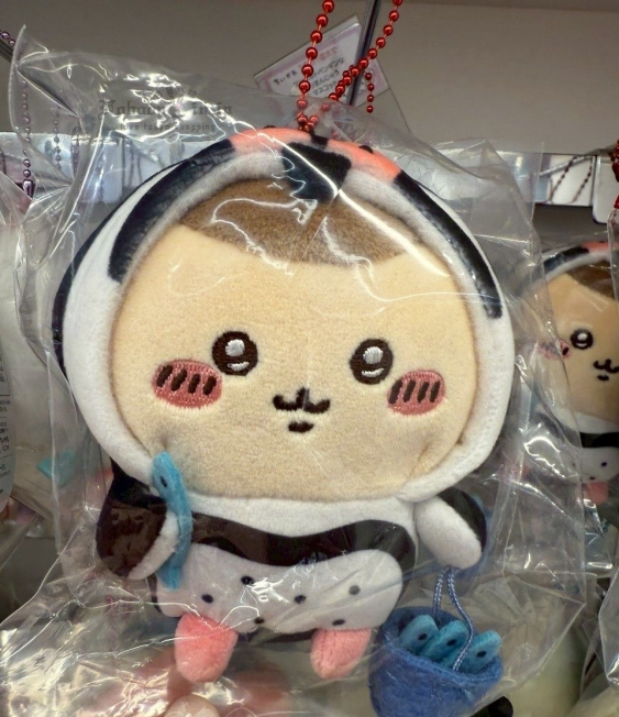LINE_ALBUM_0615收單7月中出貨（吉伊卡哇專區）_250611_5_結果.jpg