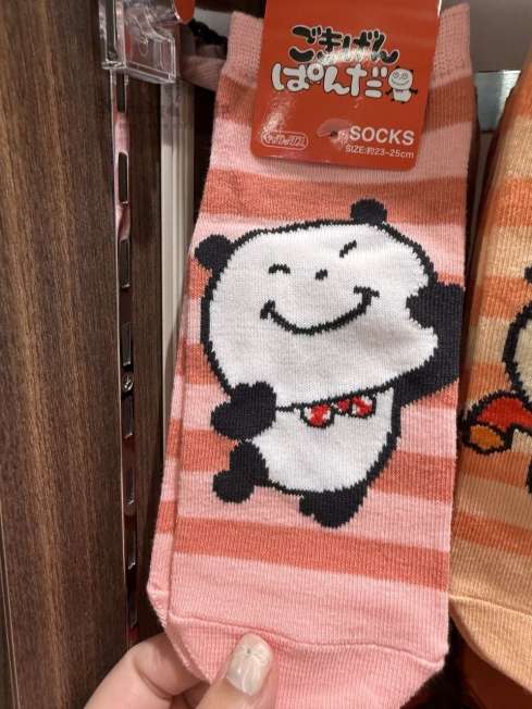 2025-06-10_15-05-54_IMG_3374_結果.jpg