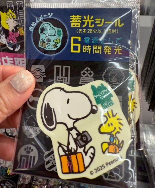 LINE_ALBUM_0615收單7月中出貨（史努比專區）_250614_3_結果.jpg