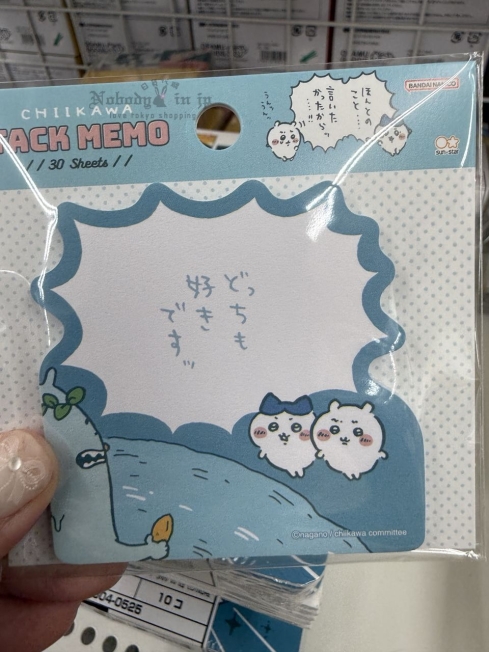 2025-06-07_11-13-27_IMG_9531_結果.jpg