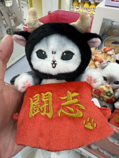 2025-06-11_12-10-14_IMG_4024_結果.jpg