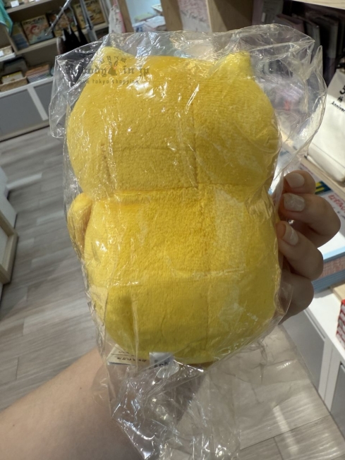 2025-06-11_16-04-57_IMG_5300_結果.jpg