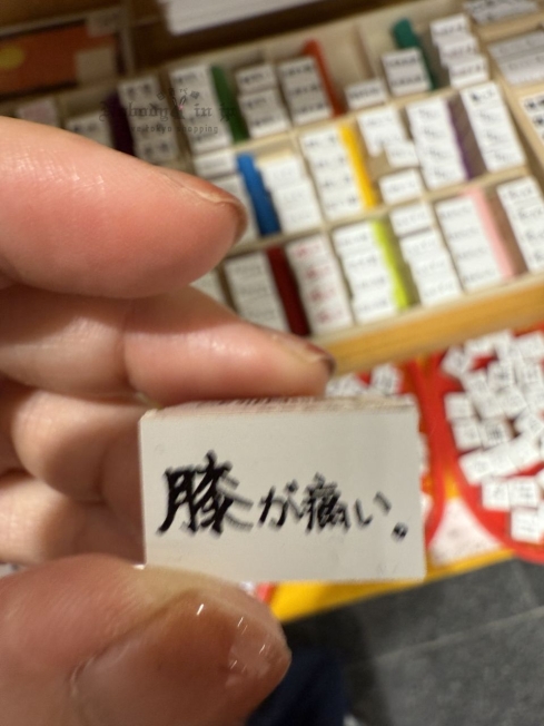 2025-09-05_18-03-33_IMG_0369_結果.jpg