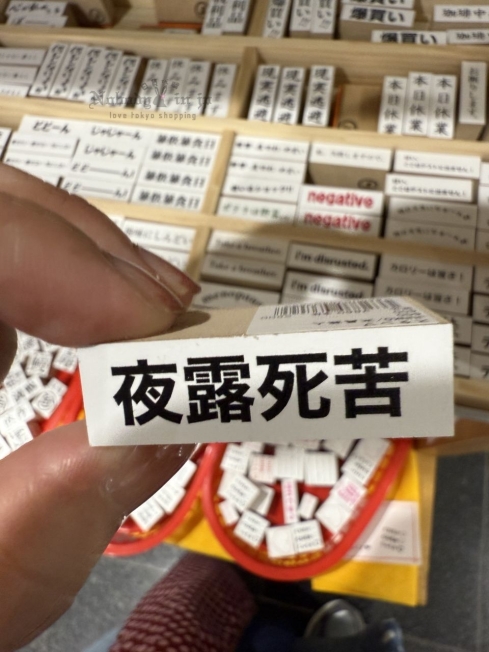 2025-09-05_17-54-59_IMG_0269_結果.jpg