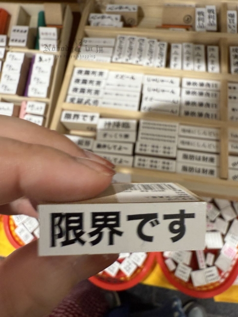 2025-09-05_17-56-25_IMG_0291_結果.jpg