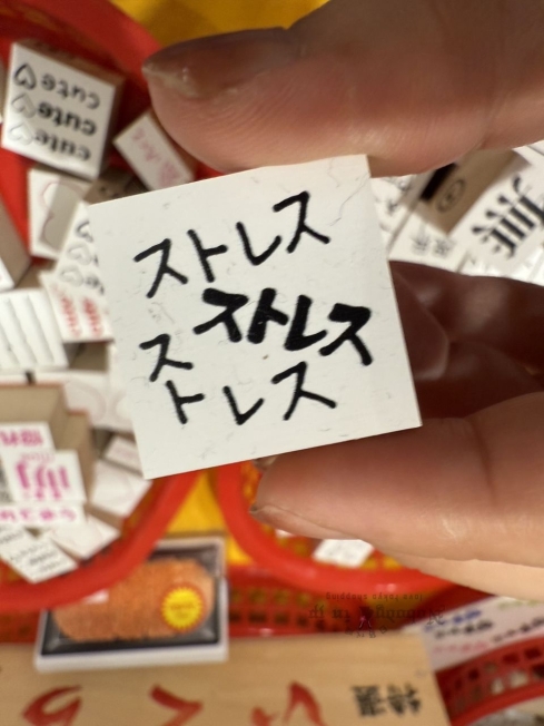 2025-09-05_17-52-31_IMG_0226_結果.jpg