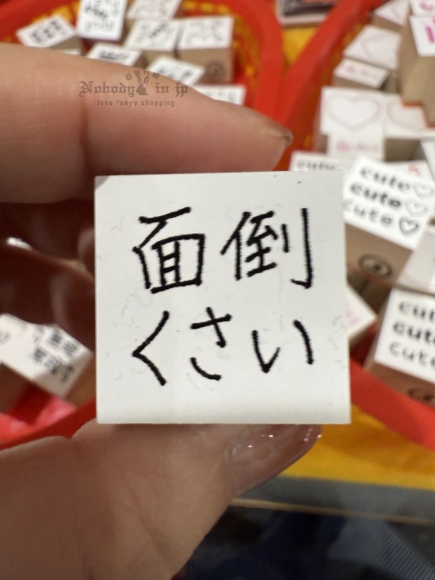 2025-09-05_17-52-51_IMG_0232_結果.jpg