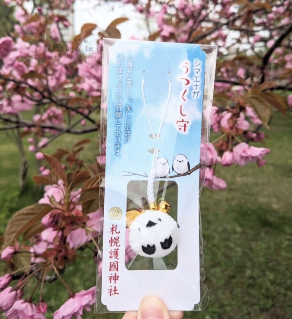 2025-10-16_13-33-26_IMG_1325_結果.jpg