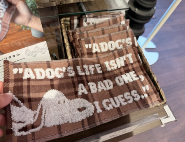 螢幕擷取畫面 2026-03-13 021018_OK.jpg