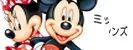 Disney (215)