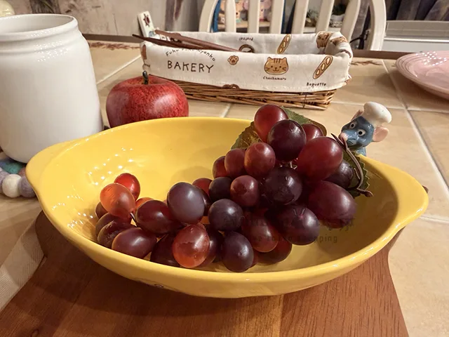 1771168505280760.jpg