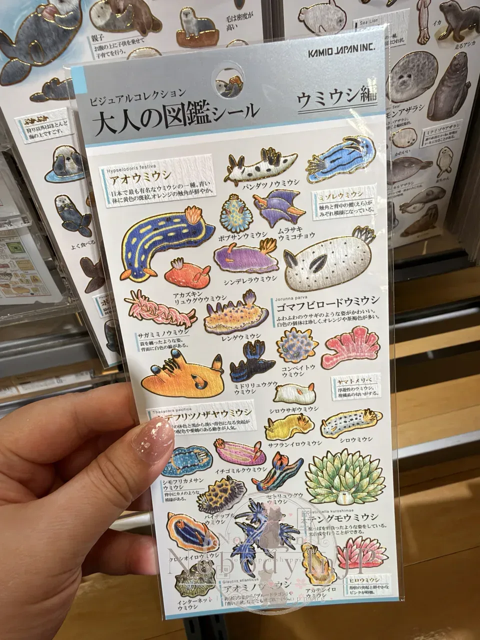 大人の圖鑑海洋生物系貼紙