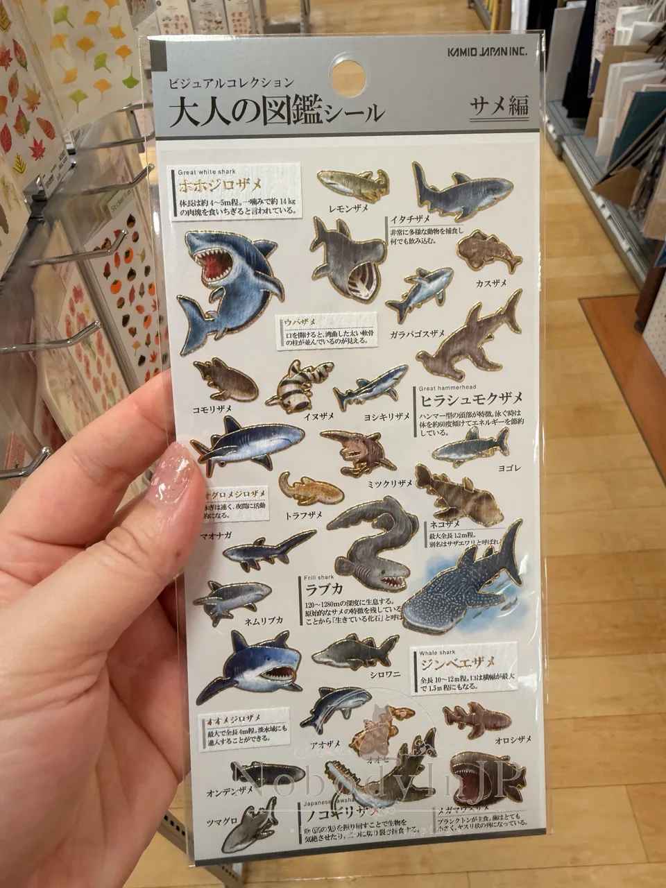 大人の圖鑑海洋生物系貼紙
