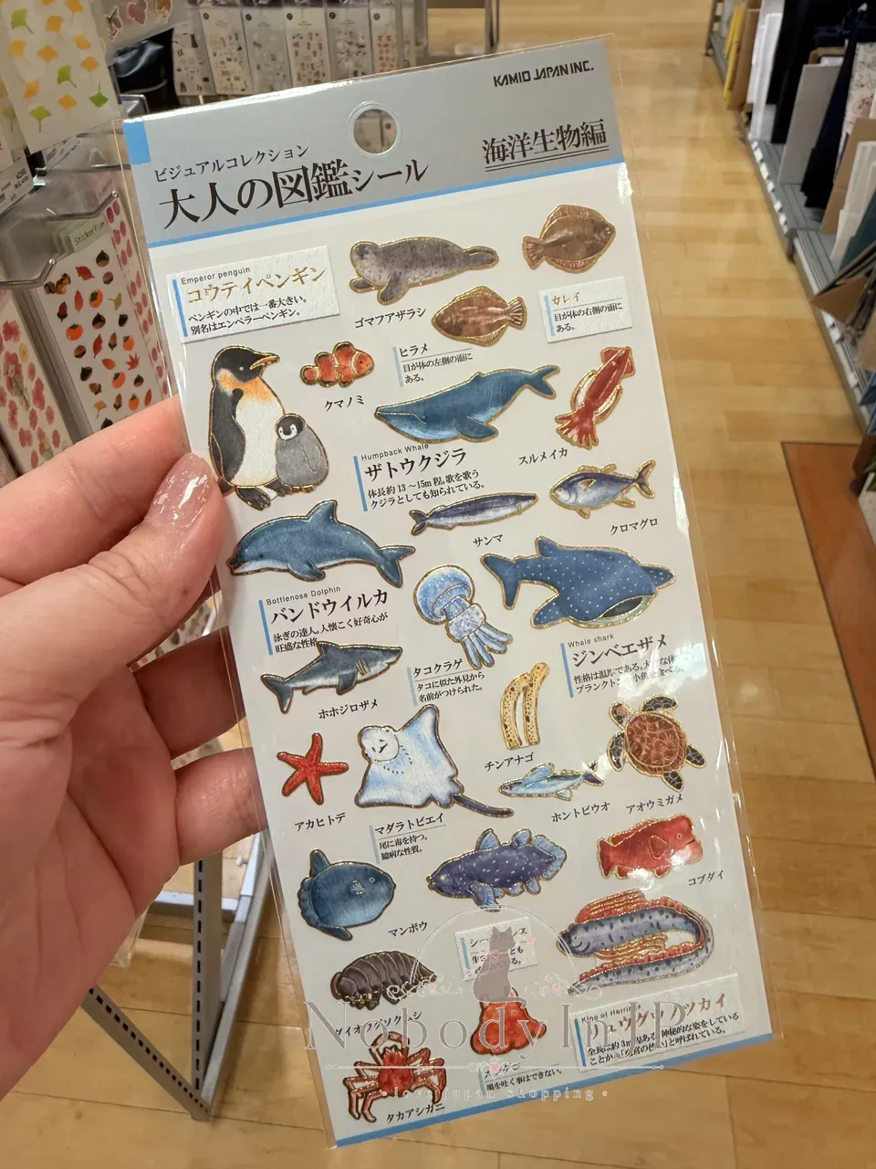 大人の圖鑑海洋生物系貼紙
