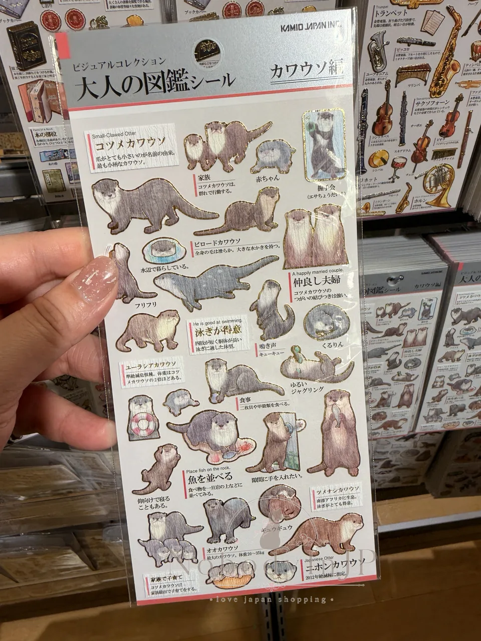 大人の圖鑑海洋生物系貼紙
