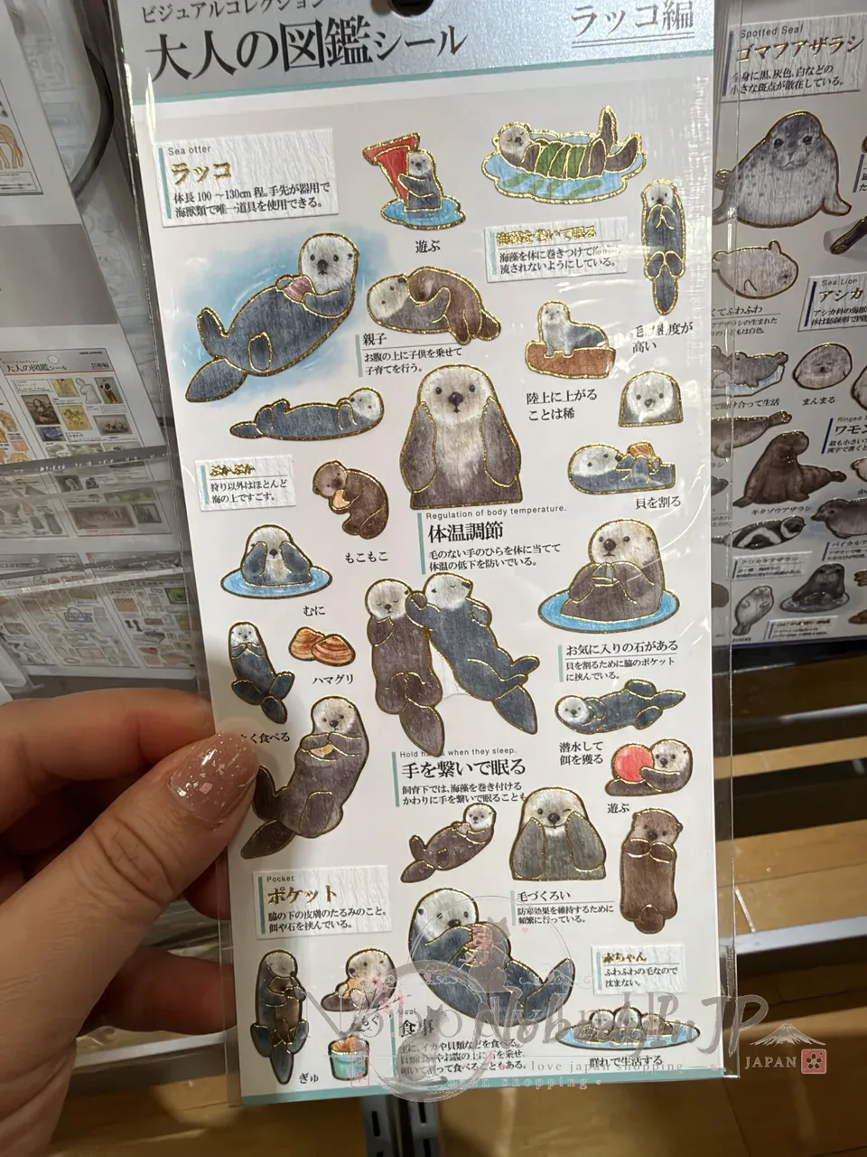 大人の圖鑑海洋生物系貼紙