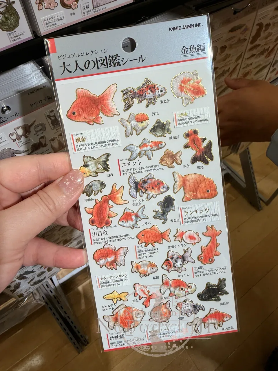 大人の圖鑑海洋生物系貼紙