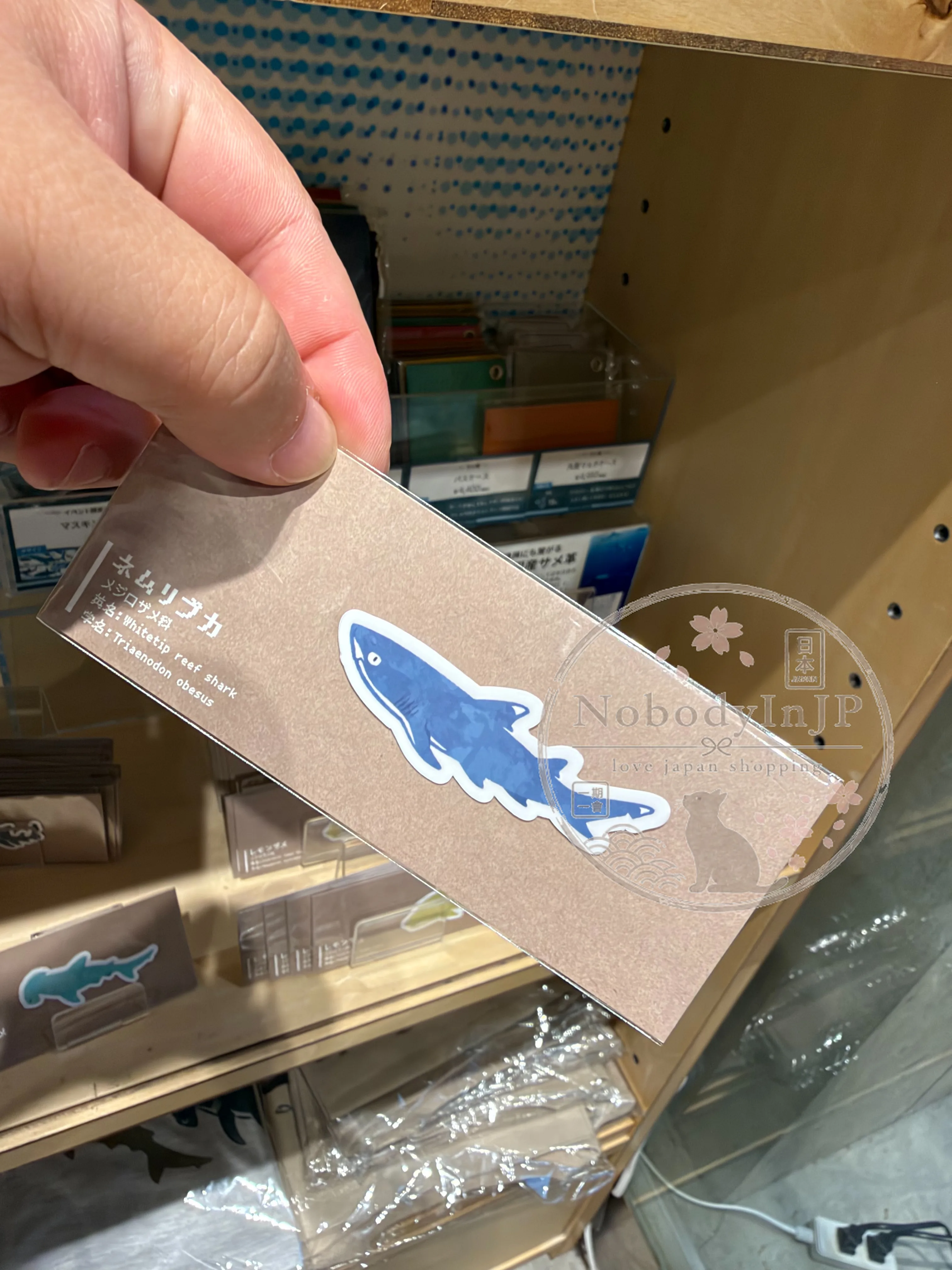 旅する水族館限定展圖鑑耐水耐磨貼紙