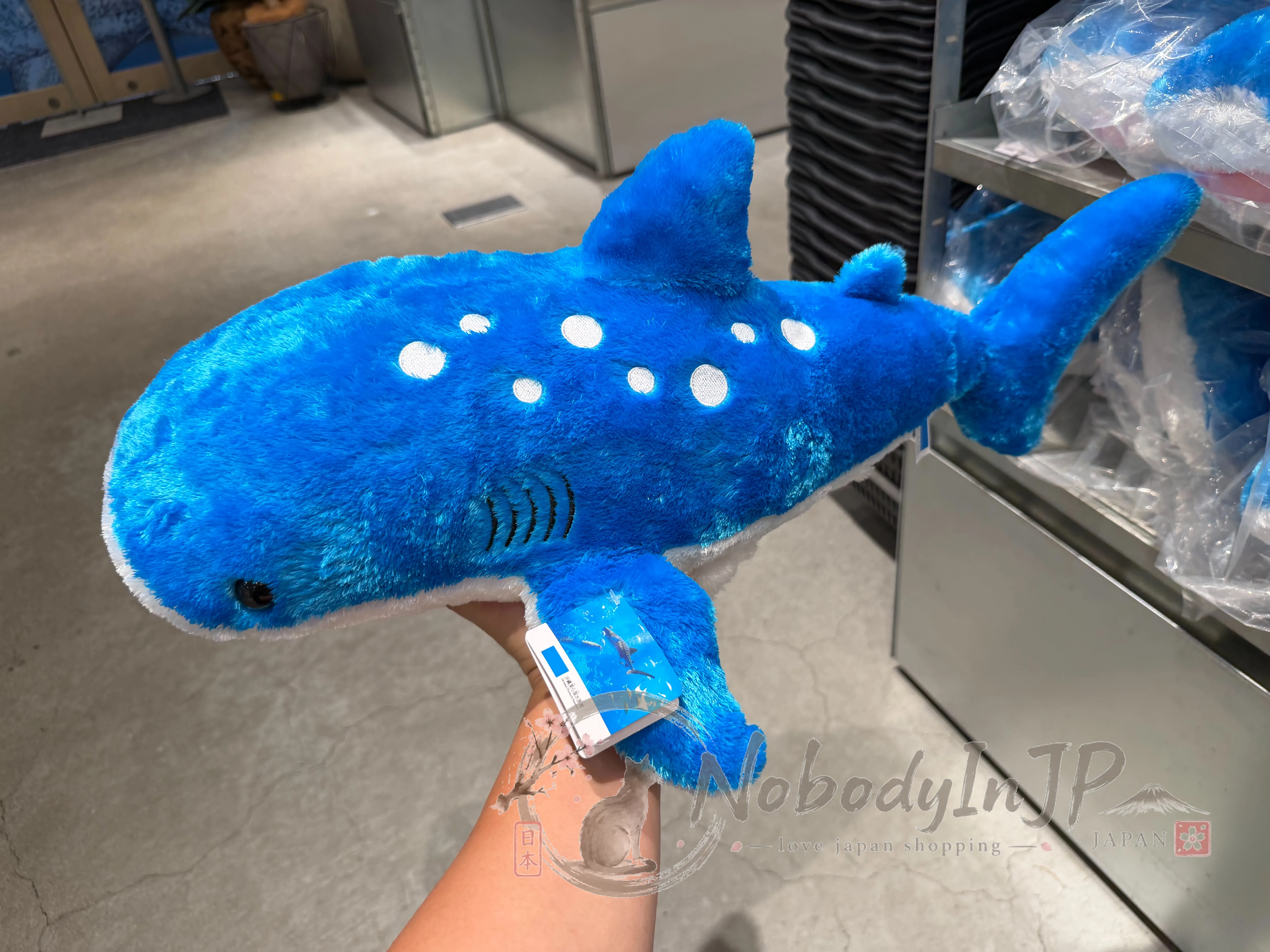 旅する水族館限定展鬆軟絨毛娃娃