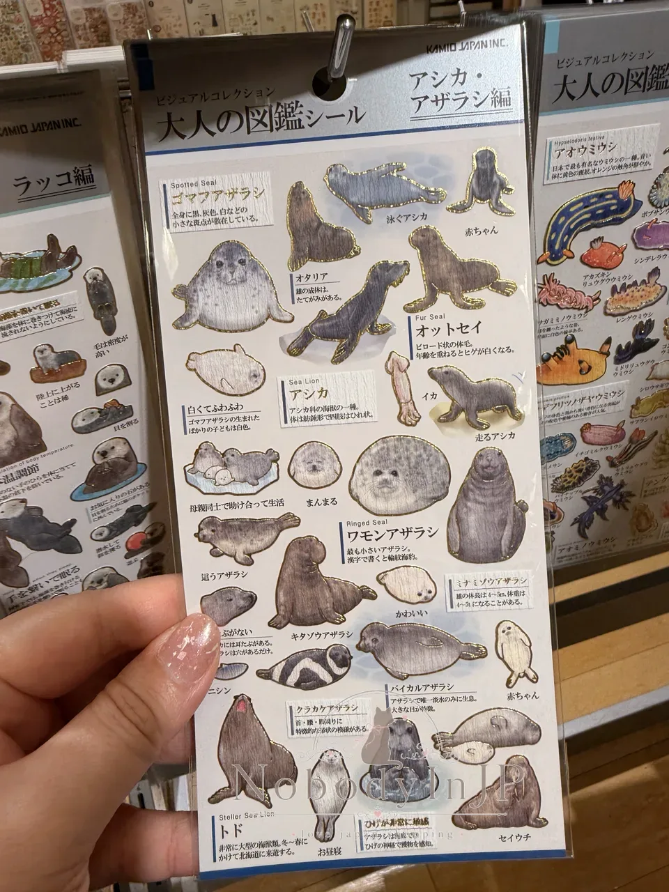 大人の圖鑑海洋生物系貼紙