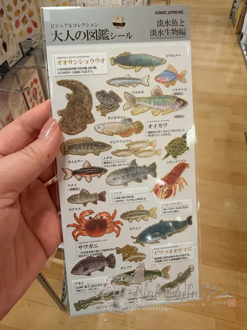大人の圖鑑海洋生物系貼紙