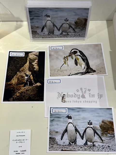 企鵝市集期間限定展4入明信片組
